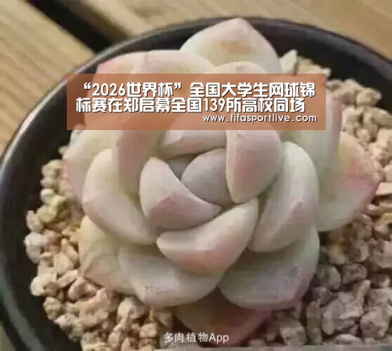 世界杯官网